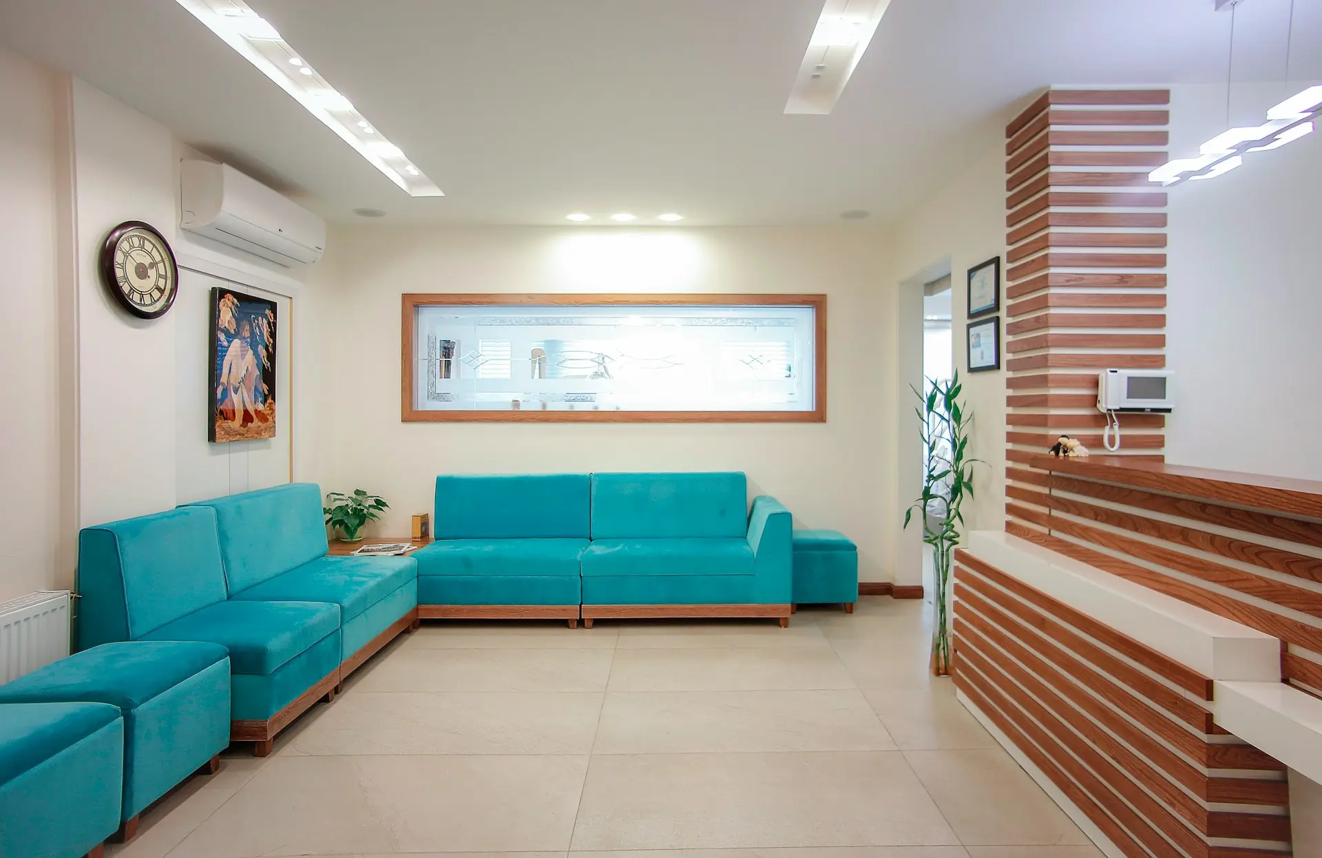 blue couch beside green potted plant
